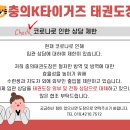 충의 K타이거즈 태권도장 이미지