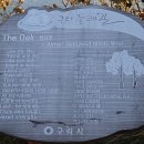 한다리마을입구 삼거리 이미지