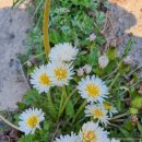 공영주차장 둘레 이미지