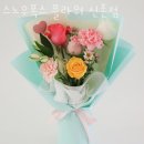 스노우폭스 - 중구 세종대로11길 27 | 스노우폭스