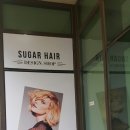 슈가헤어 이미지