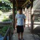 종원농장 Daum카페