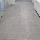 성주초등학교 이미지