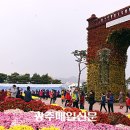 국향한우 이미지