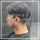 한양미용실 - 동해시 | 양산미용실 코드97 양산범어점 양산남자머리 잘하는 양산남자미용실 후기