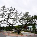 스파리조트 안단테 호텔 이미지