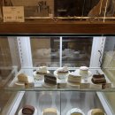 뿌리깊은나무 | [동두천 카페추천] 뿌리깊은 나무 내돈내산 후기