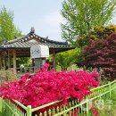 은행정경로당 티스토리