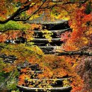 일본 나라 담산신사(Tanzan Shrine, Nara Japan) 의 단풍 이미지