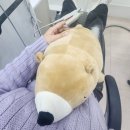 전대약국 | 사랑니 2개 뽑은 후기