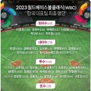 wbc 한,미,일 확정 명단 이미지