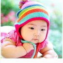 코스트코 홀세일 이미지