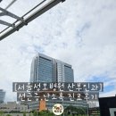 서울성모병원 | 선근증,난소혹 [서울성모병원 산부인과] 진료후기