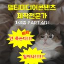JS pc | 성남그린아카데미 멀티미디어콘텐츠제작전문가 자격증 실기 시험 후기 | 비전공자 합격 꿀팁