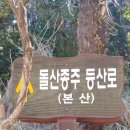 맥길이네