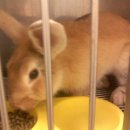 서교초교 이미지