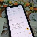 클릭 | 인스타그램 팔로우 늘리기 무료 퍼니클릭 이용후기