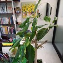 남훈행정사 | 우리 아이 이름 남훈행정사작명원 에서 해결했습니다 ^^