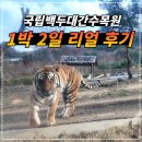 수목원마트편의점 이미지