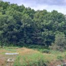 살미면사무소 이미지