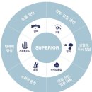 성일저울 | [강아지사료]염증약화,관절,눈물완화 - 씨씨펫 피쉬포독 슈페리어 어덜트 급여후기