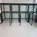 댕댕이 카페 이미지