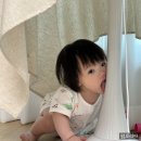 육아일기 / 9개월 아기(일상, 발달, 분유량, 후기이유식, 키, 몸무게, 낮잠, 수면시간)