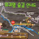 성주사 회귀형 숲길 이미지