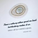 안산시 중앙도서관 컨퍼런스룸3 | [안산카페] 초지동 도서관 카페 이음카페, 산책하기도 좋은 곳