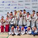 둥글이태권도 이미지