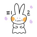 아로하스토리 이미지