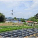 오케이한식뷔페 이미지