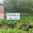 나비뜨란 펜션 이미지