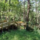 포토 프렌즈 이미지