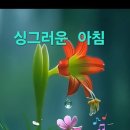 24년 4월 10일.21대 총선일 아침 인사글 이미지