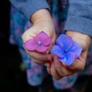 찬란한 인생 이미지