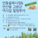 연동골목시장 이미지