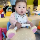 [공지] 36갤까지 입장가능&lt;뒤뚱뒤뚱 베이비카페&gt;솔직후기
