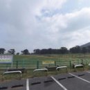 평화축산 | 가볼맛한 곳 제주특별자치도축산생명연구원제주마방목지 무료 체험과 관람 후기, 지금 바로 알아보세요