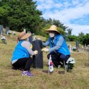 애월읍충혼묘지 이미지