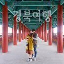 신라파크장 | 겨울과 봄, 그 간극에서 경북 完[안동, 청송, 경주 2박 3일 경북 여행코스 및 총 경비]