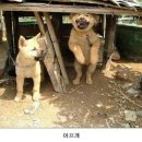 어서타개 이미지