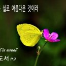 다복해 이미지