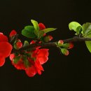 죽계사竹溪祠 이미지