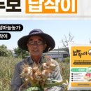 주식회사 더내림