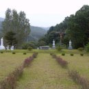 수원-1846 Daum카페