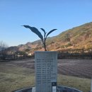 티클래스(나를 위한 차~) | 하동 뚜벅이 여행 코스 추천: 티카페 하동에서 즐긴 우전차와 암차 티클래스/녹차 족욕(하동반값여행...