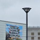 판다킹 | (사진주의) 애니멀포럼후기