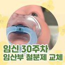 차고달고충주 | [임신 30주차] 첫 태동검사😶‍🌫️ / 임산부 철분제 맘스포뮬러 2단계 / 제주도 태교여행🍊