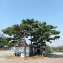 동진칠판교구 | 71. 평택 수도사 - 원효 깨달음의 성지 이자 전통 사찰음식 대중화의 원조